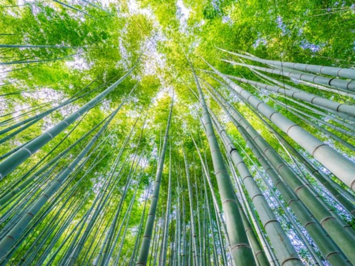 Kamakura Cocon酒店 外观 照片