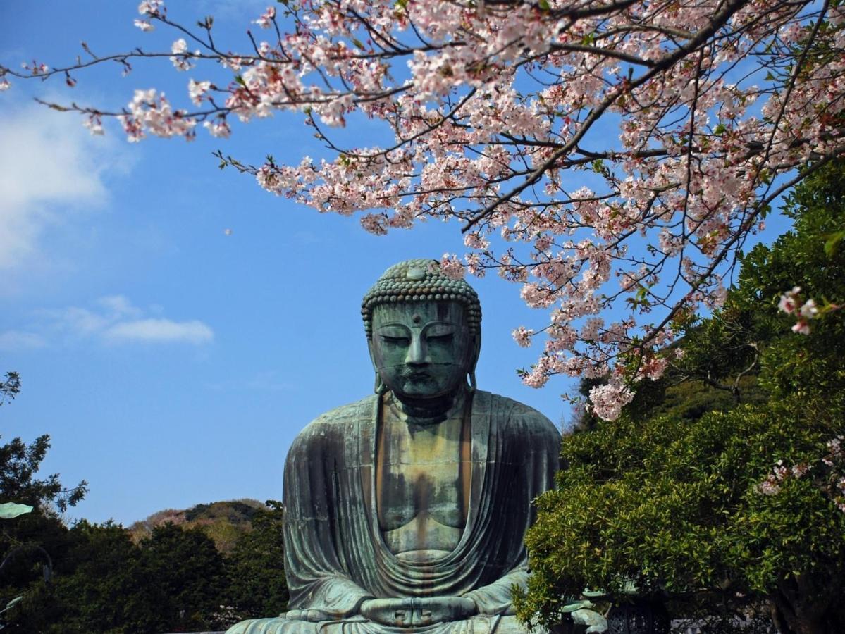 Kamakura Cocon酒店 外观 照片