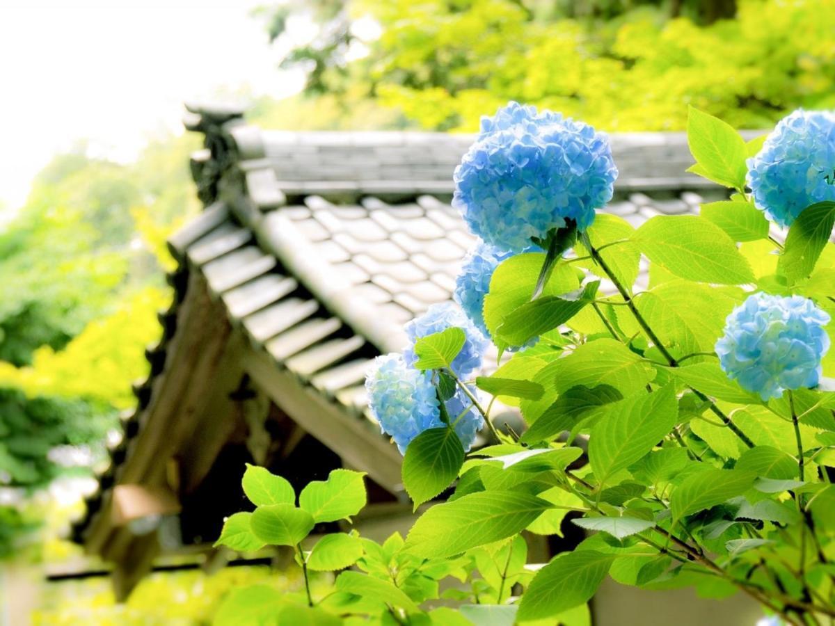 Kamakura Cocon酒店 外观 照片